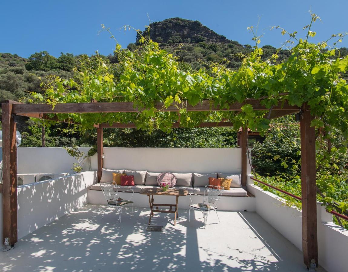 Feneri 3 -Cozy Rustic Apt 20' From Elafonisi Beach Buitenkant foto